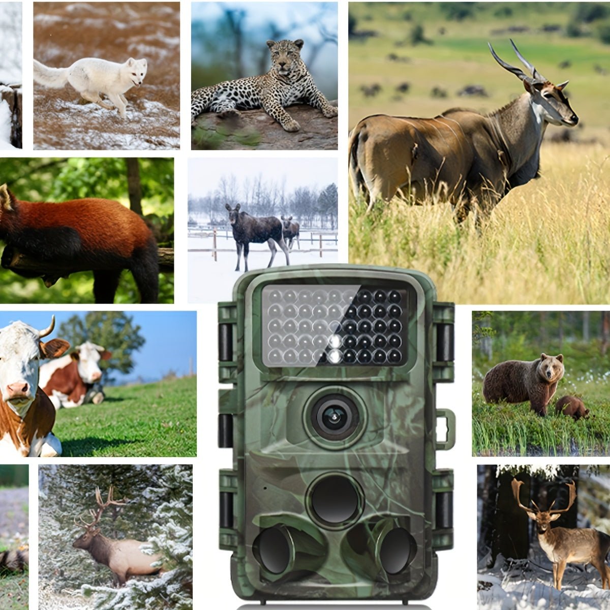 4K 32MP Trail Camera – Motion Detection & Low - Glow Night Vision for Outdoor Use - Bush Range